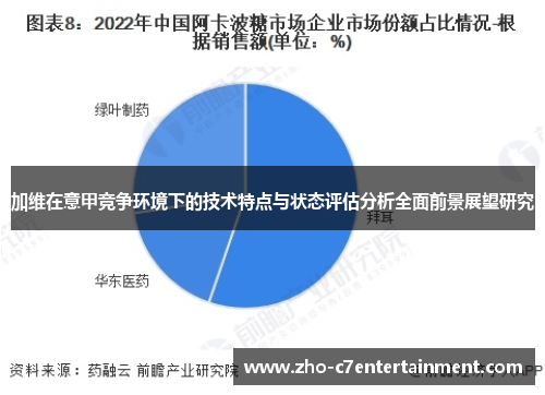 加维在意甲竞争环境下的技术特点与状态评估分析全面前景展望研究